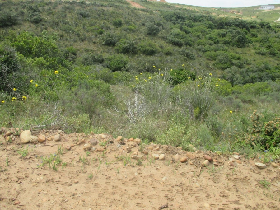 0 Bedroom Property for Sale in Outeniquasbosch Western Cape